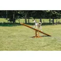 Huśtawka/mostek AGILITY 300x54x34cm maks. do 80kg TRIXIE