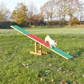 Huśtawka/mostek AGILITY 300x54x34cm maks. do 80kg TRIXIE