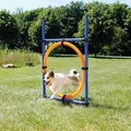 Koło do skakania AGILITY