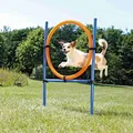Koło do skakania AGILITY