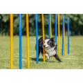 AGILITY Slalom, kijki 12 szt