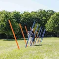 Następne zdjęcie produktu AGILITY Slalom, kijki 12 szt