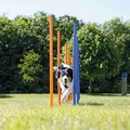 AGILITY Slalom, kijki 12 szt