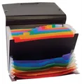 Następne zdjęcie produktu Teczka z przegrodami Rainbow Class, 12+6 części, czarna, PP, VIQUEL