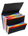 Następne zdjęcie produktu Teczka z przegrodami Rainbow Class, 12+6 części, czarna, PP, VIQUEL