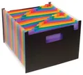 Teczka z przegrodami Rainbow Class, 25 części, czarna, PP, VIQUEL