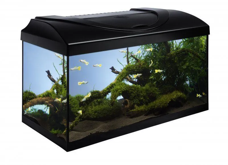 Główne zdjęcie produktu Akvarijní set 60 - černá 60x30x30 cm