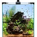 Następne zdjęcie produktu Zestaw akwariowy nano LED 30 30x30x35cm