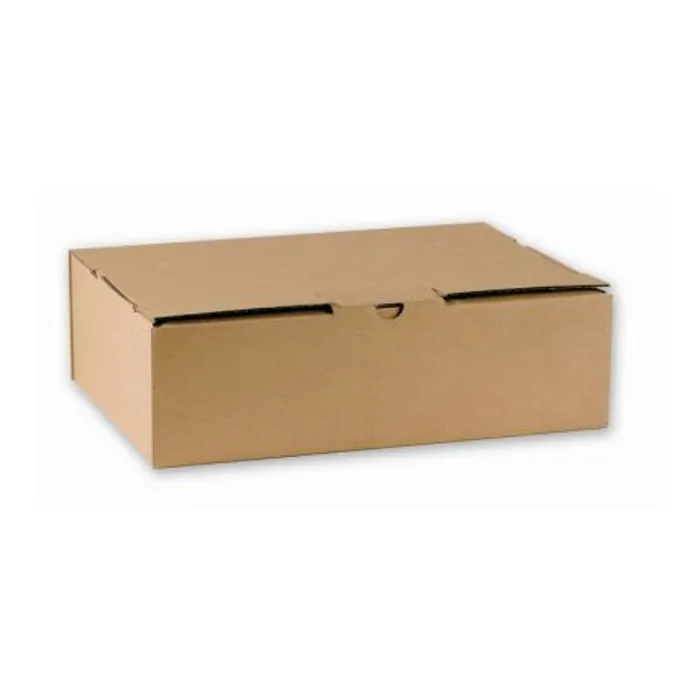 Główne zdjęcie produktu Archivní krabice A4 33 x 24,5 x 13 cm natutal