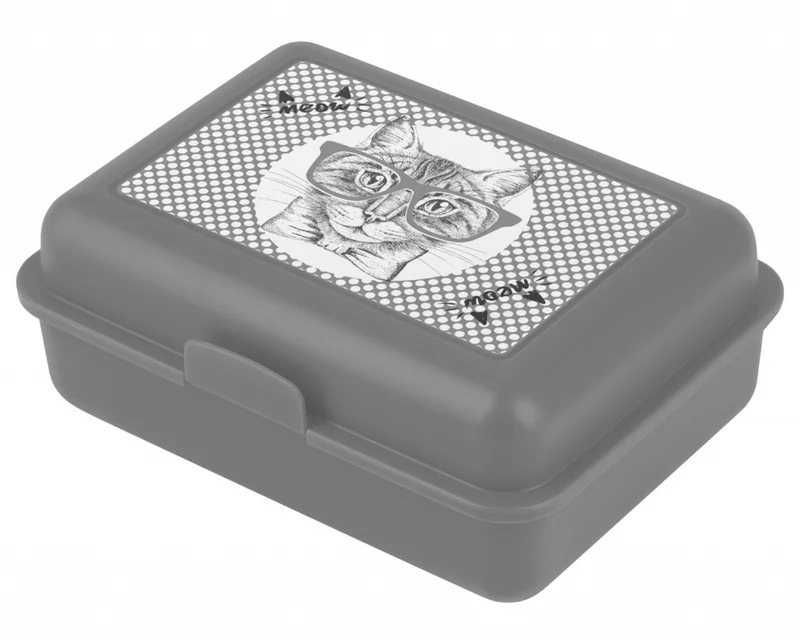 Główne zdjęcie produktu BAAGL Box na svačinu Kočka
