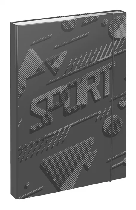 Główne zdjęcie produktu BAAGL Desky na školní sešity A4 Sport