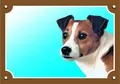 Kolorowy znak Uwaga pies, Jack Russel Terrier
