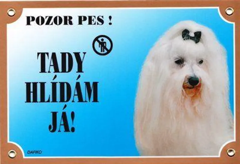 Główne zdjęcie produktu Barevná cedulka Pozor pes, Maltézský pinč