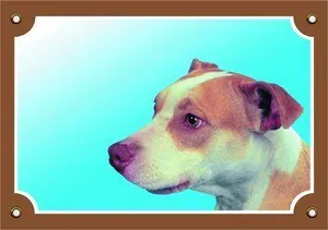 Kolorowy znak Uwaga pies, Pitbull terrier