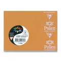Koperta kolorowa Clairefontaine pomarańczowa, 75 x 100 mm [20 szt.]