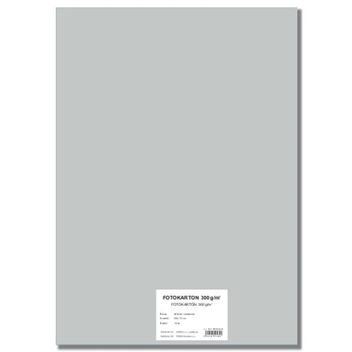 Główne zdjęcie produktu Barevný karton EXTRA 300g 50x70cm stříbrný [10 listů]