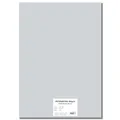 Karton kolorowy EXTRA 300g A4 szary [10 ark.]