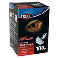 Następne zdjęcie produktu Wygrzewająca się lampa punktowa 100 W