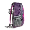 Plecak Boll Falcon 20 Boysenberry