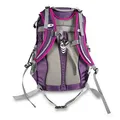 Plecak Boll Falcon 20 Boysenberry
