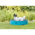 Basen dla psa, jasnoniebieski/niebieski, 120 x 30 cm