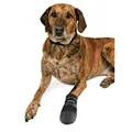 Buty-neoprenowe 2 szt. - TRIXIE XXL: np. Berneński pies pasterski