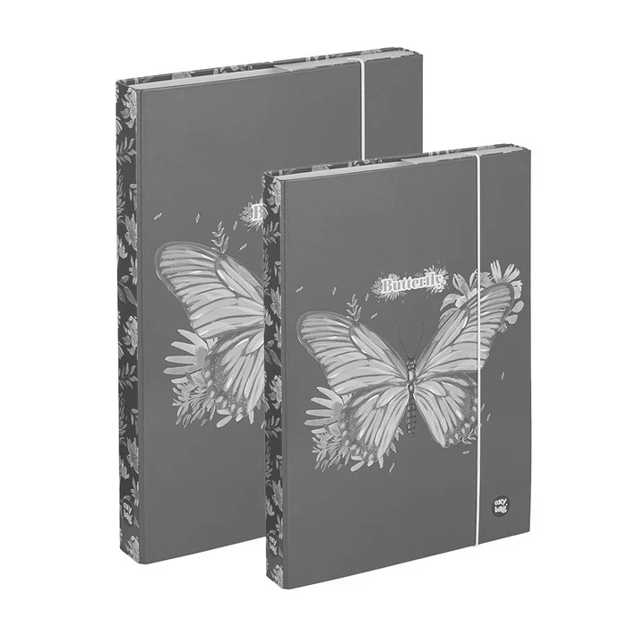 Główne zdjęcie produktu Box A4+A5 Motýl