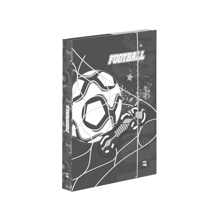 Główne zdjęcie produktu Box na sešity A4 fotbal