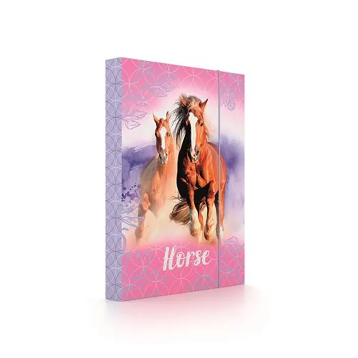 Główne zdjęcie produktu Box na sešity A4 Horse