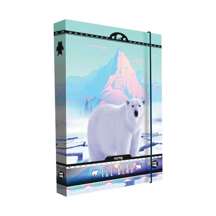 Główne zdjęcie produktu Box na sešity A4 Jumbo Bear