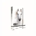 Box na sešity A4 Jumbo GEO WILD Horse