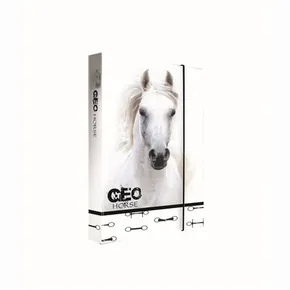 Box na sešity A4 Jumbo GEO WILD Horse