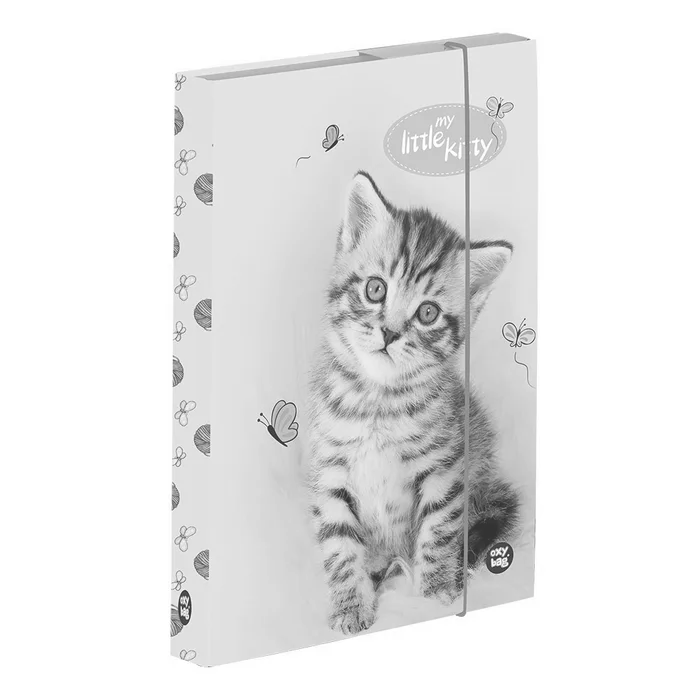 Główne zdjęcie produktu Box na sešity A4 kočka