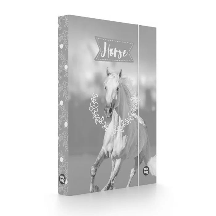 Główne zdjęcie produktu Box na sešity A4 kůň