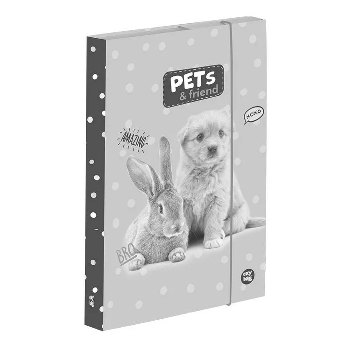 Główne zdjęcie produktu Box na sešity A4 mazlíčci