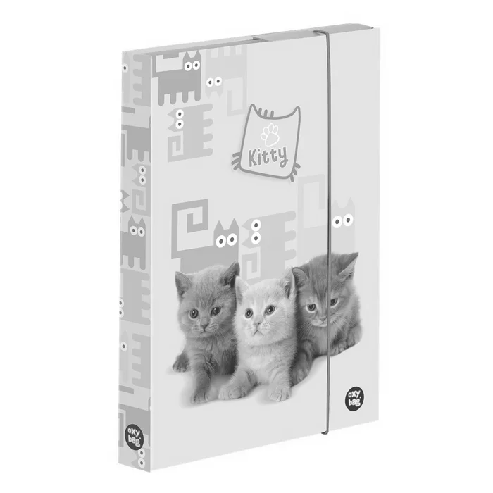 Główne zdjęcie produktu Box na sešity A4 Mazlíčci
