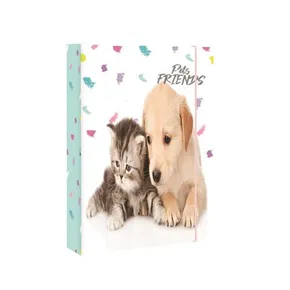 Box na sešity A4 Pets Friends

