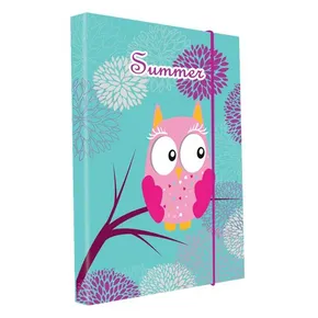 Pudełko na zeszyty A4 Sowa/Owl