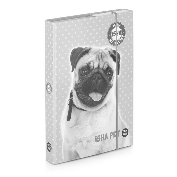 Główne zdjęcie produktu Box na sešity A5 ISHA - My love Pet