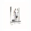 Pudełko na zeszyty A5 Jumbo GEO Wild Horse