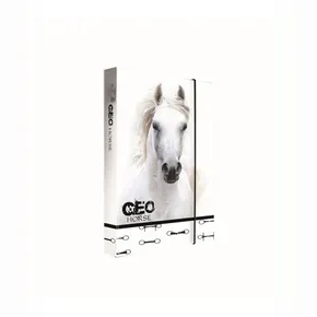 Pudełko na zeszyty A5 Jumbo GEO Wild Horse