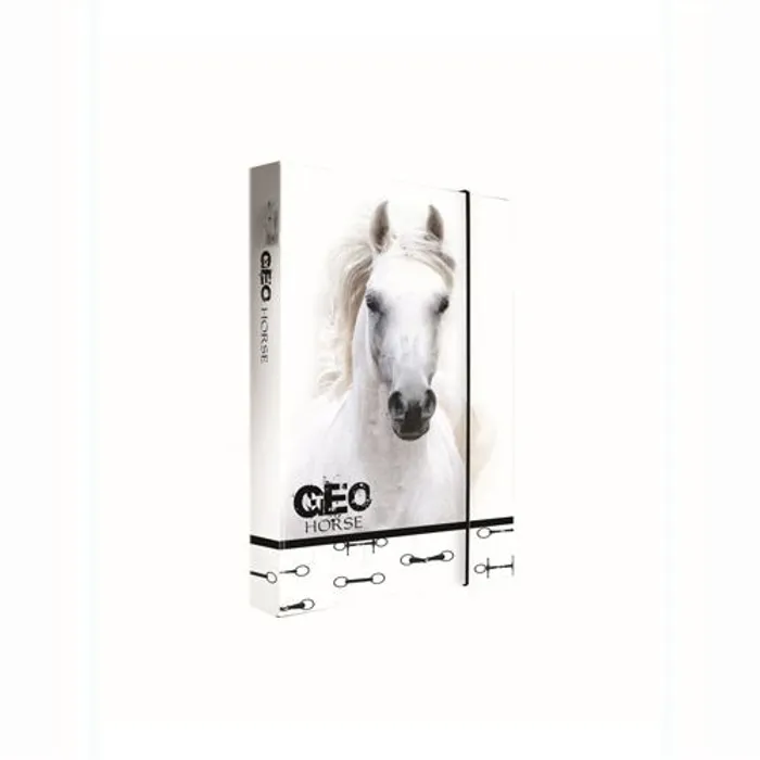 Główne zdjęcie produktu Box na sešity A5 Jumbo GEO Wild Horse