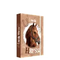 Box na sešity A5 Jumbo Lovely Horse