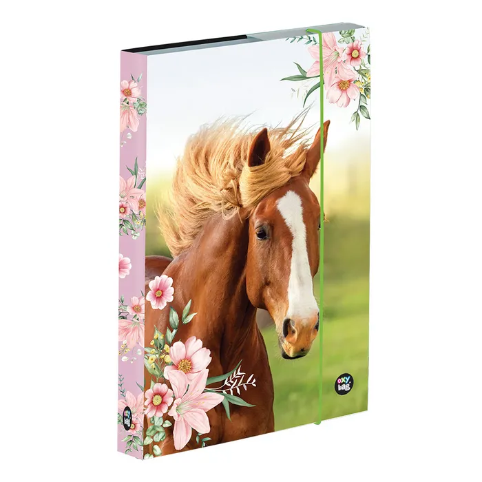 Główne zdjęcie produktu Box na sešity A5 kůň