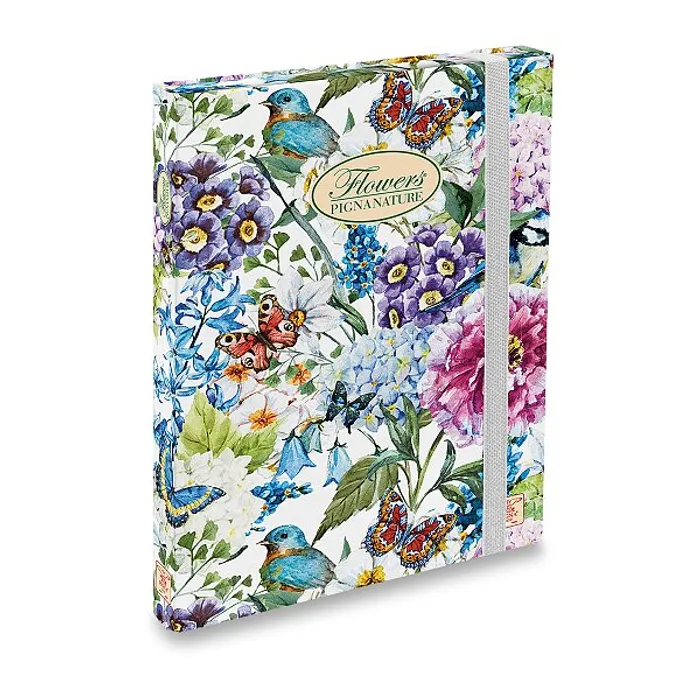 Główne zdjęcie produktu Box Pigna Nature Flowers A4, hřbet 30 mm, mix motivů