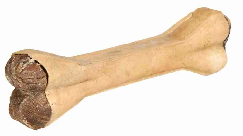 Główne zdjęcie produktu Buvolí kost plněná dršťkami 15 cm 90 g
