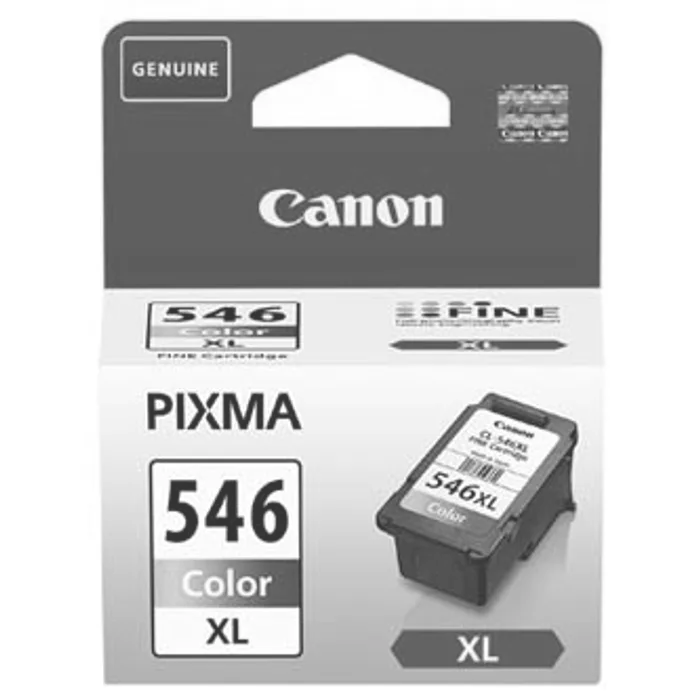Główne zdjęcie produktu Canon originální ink CL-546XL, colour, 300str., 13ml, 8288B001, Canon Pixma MG2450,2550
