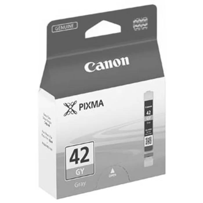 Główne zdjęcie produktu Canon originální ink CLI-42GY, grey, 6390B001, Canon Pixma Pro-100
