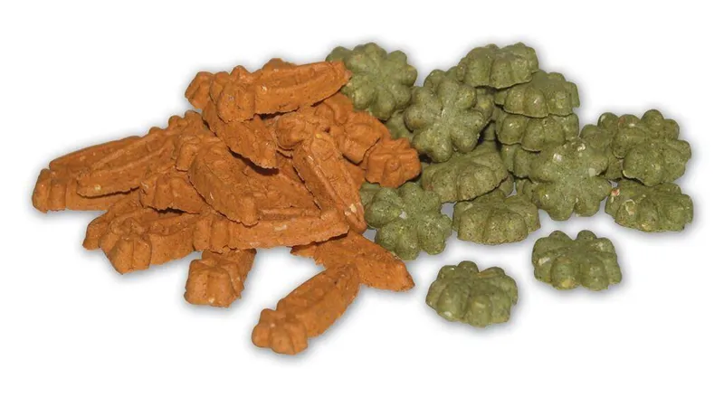 Główne zdjęcie produktu CARROT CLOVER MIX - mrkvičky a čtyřlístky pro hlodavce 2,5 kg