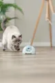 Następne zdjęcie produktu Zmotoryzowana rakieta Catch Me z przynętą na sznurku